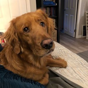 Meet your Posher, Elissa